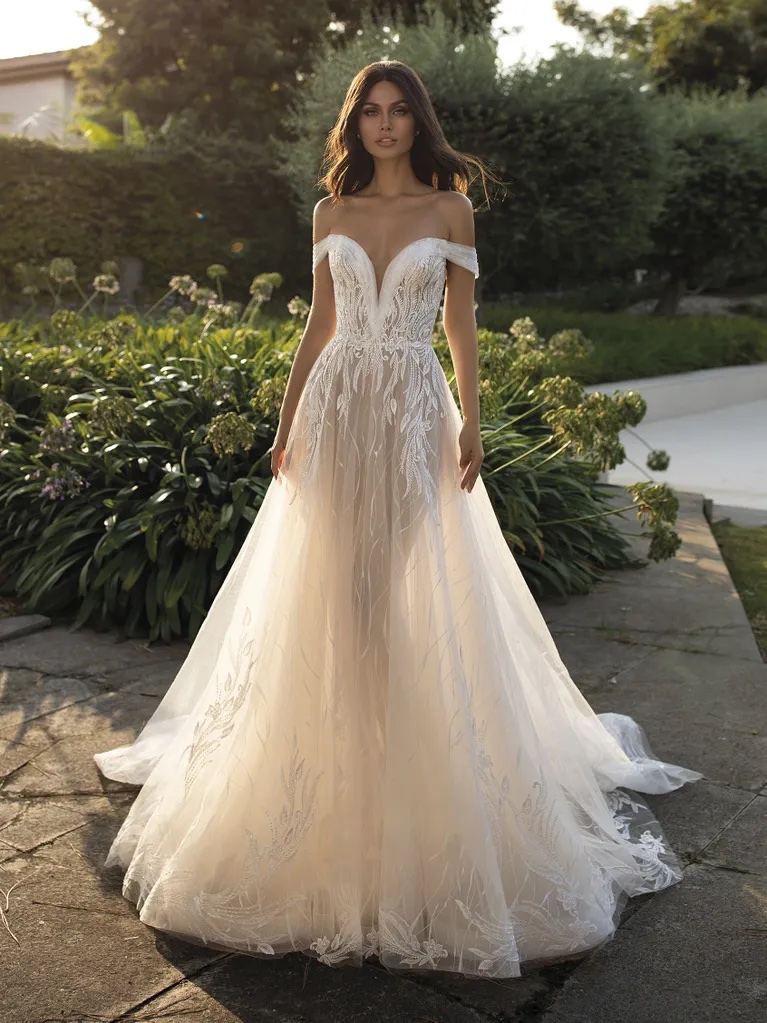 Pronovias Cloe Wedding Dress