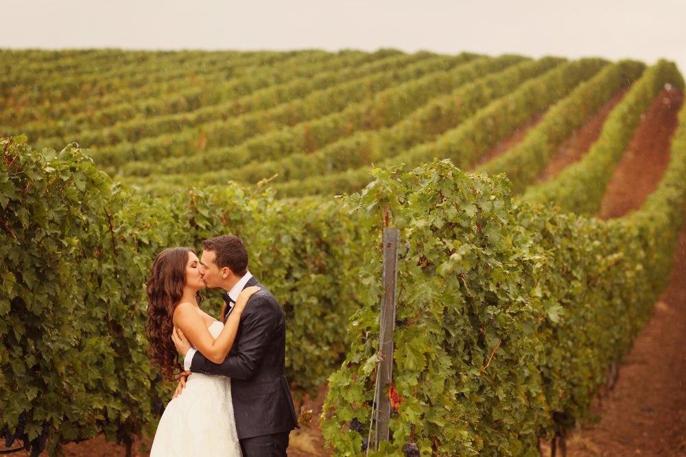 Bride and groom kissing at a winery
