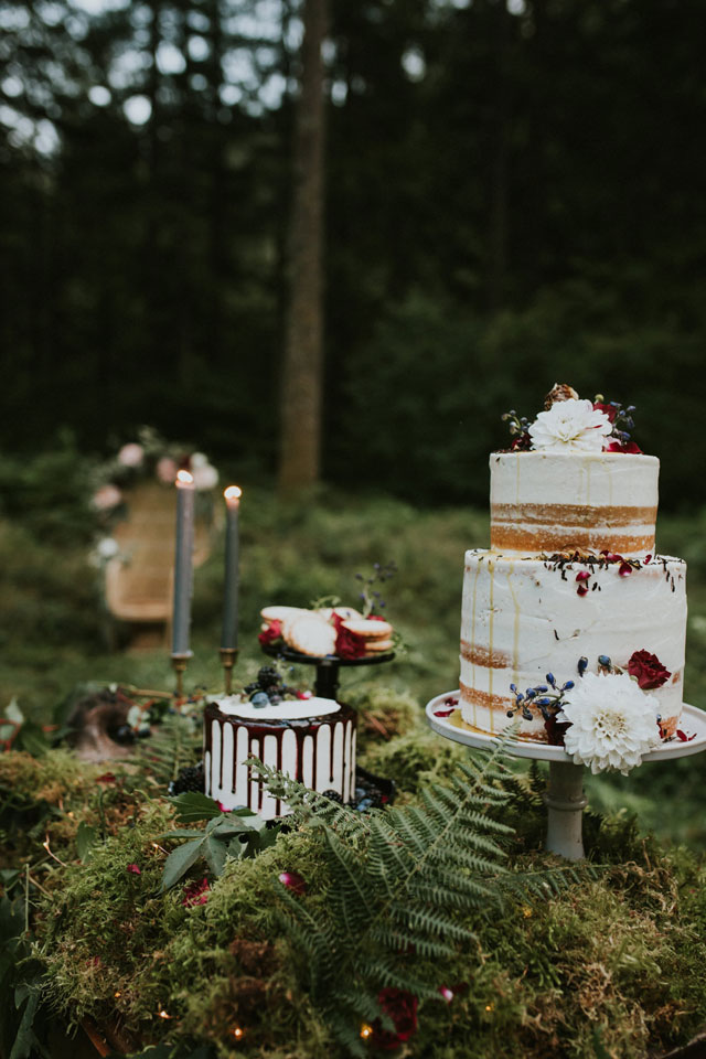 A dramatic and moody wolf elopement styled shoot against a natural backdrop of waterfalls and lush forested landscape by Marcela Pulido Photography and Vintage Mingle