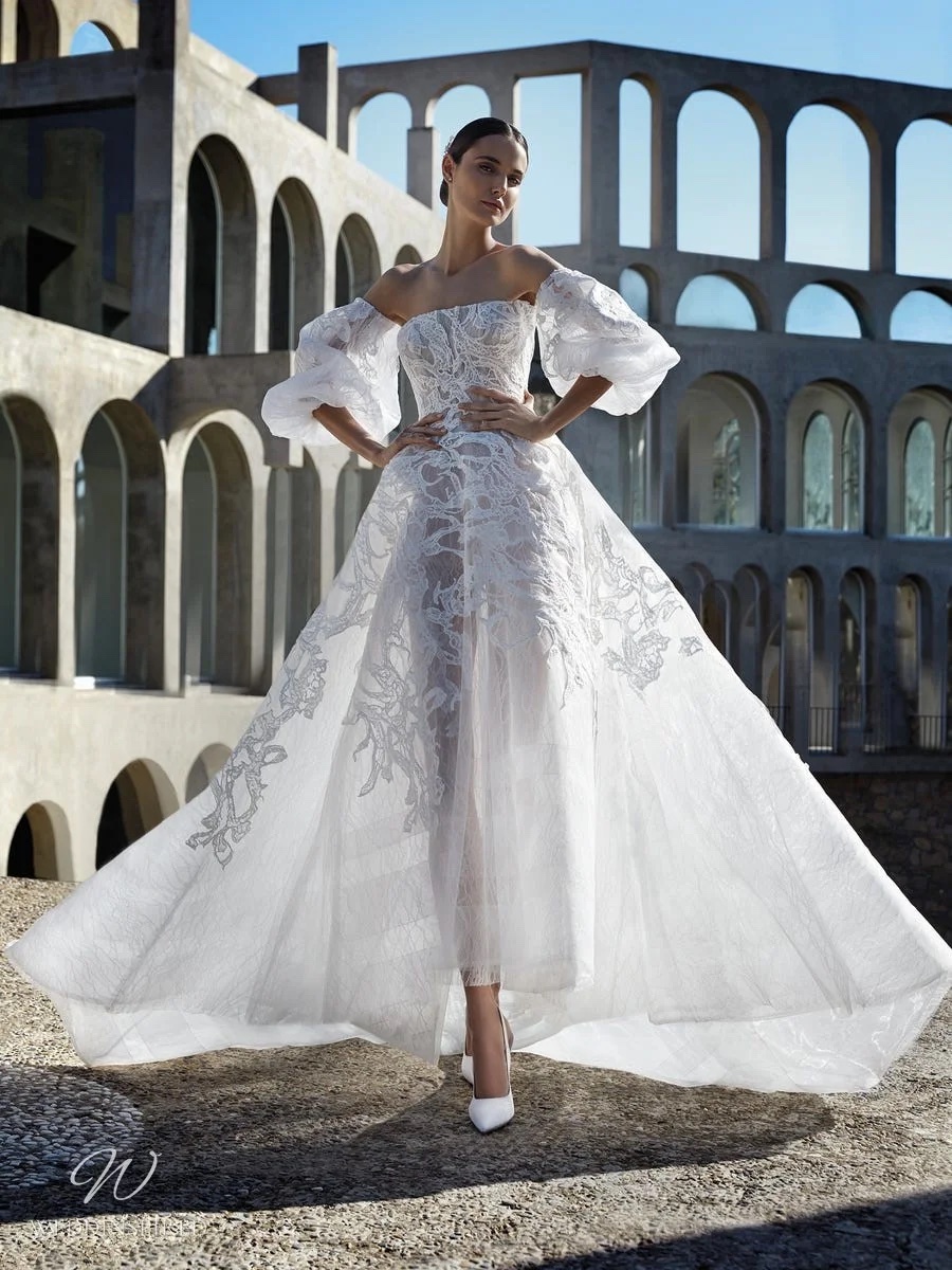 Pronovias Gemma Wedding Dress