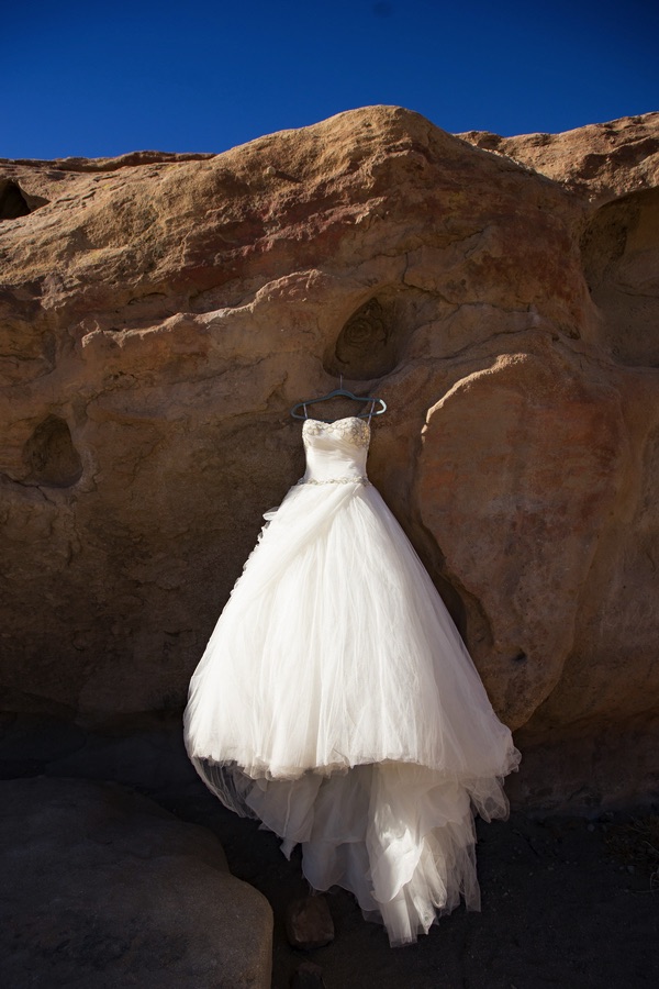 Photographing The Dress | Raelyn Elizabeth Photography