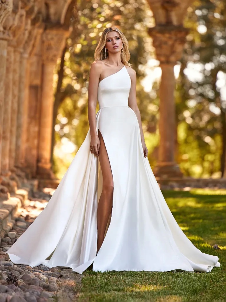 Pronovias Nora Wedding Dress