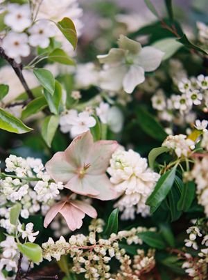 blush-hellebore-spring-flowers-white-lilac-hyacinth-wax-flower-apple-blossoms