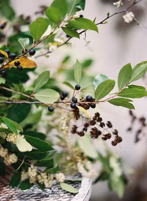 early-spring-foraged-greenery-arrangement-black-green-berries-crepe-myrtle-pods