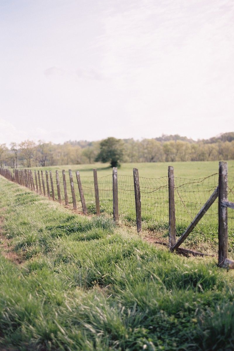 Engagement Photo Tennesee Open Fields Wire Fence