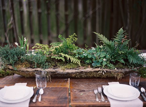 long-hypertufta-moss-cement-organic-centerpiece-DIY-ferns-maidenhair-clover-lily-of-the-valley-thyme-farm-table