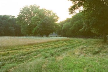 Nashville Farm Wedding Venue