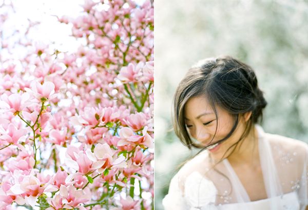 Pink Tulip Tree Spring Bride