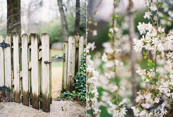 white-picket-fence-garden-gate-spring-blossoms-white
