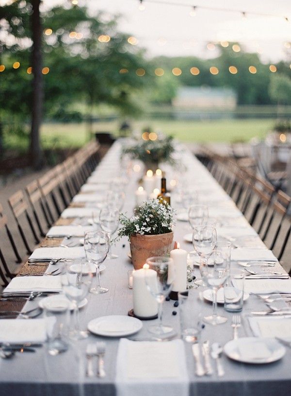 14-potted-plant-table-centerpieces
