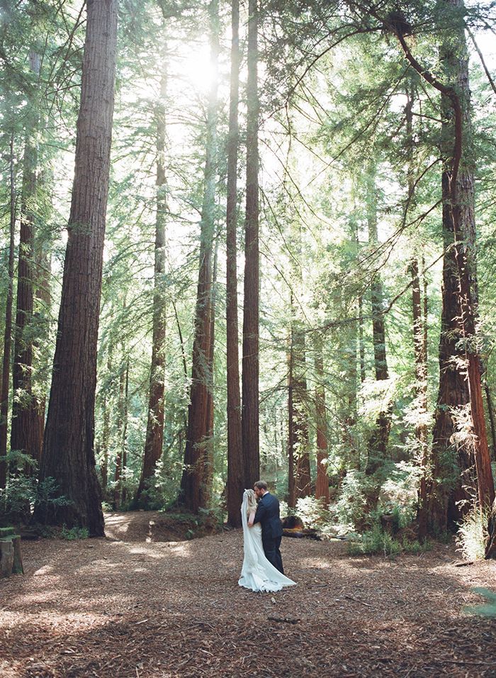 21-redwood-forest-elizabeth-messina-elopement