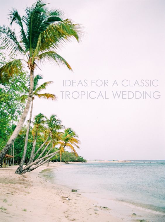 Classic Tropical Wedding 1