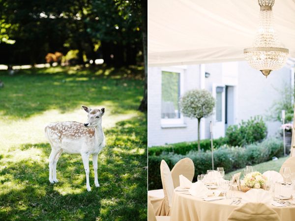 baby-deer-reception-dinner-tent