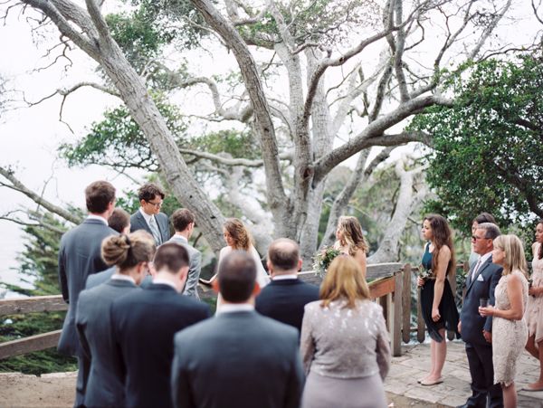 big-sur-wedding-outside-gray-tree