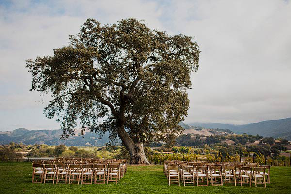 california-vineyard-wedding-ideas