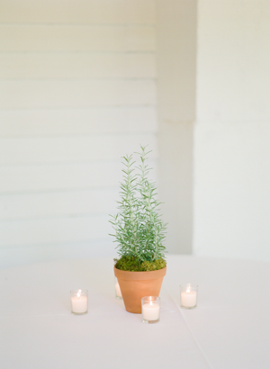 elisa-bricker-virginia-wedding-herbs14