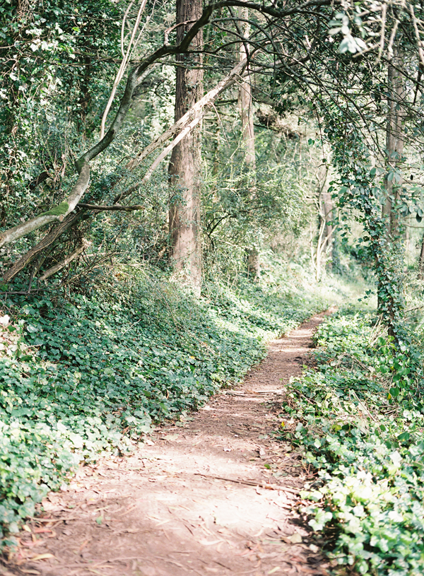 forest-path