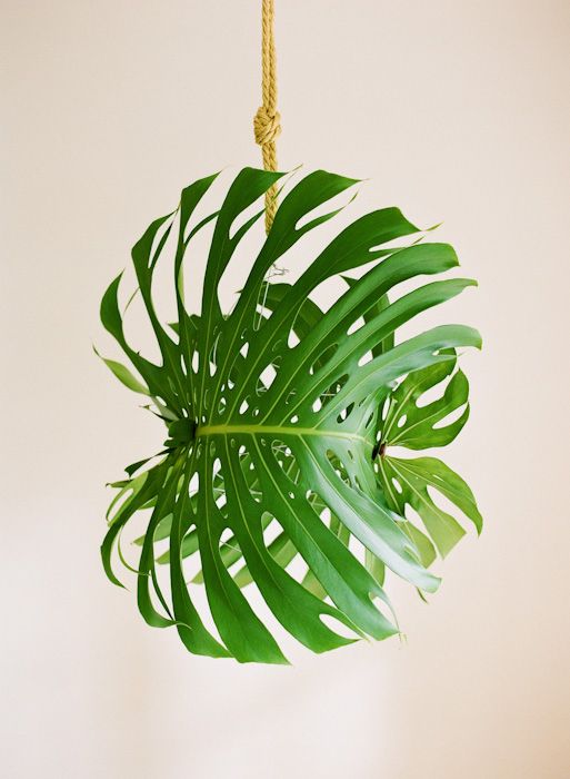 Giant Tropical Leaf Pendant Light