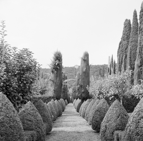 heather-wedding-trees-italy-italian-wedding-ideas