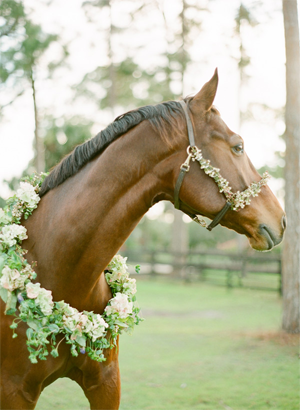 horse-wreath-wedding-ideas