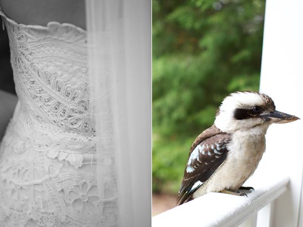 lace-dress-kookaburra-kingfisher
