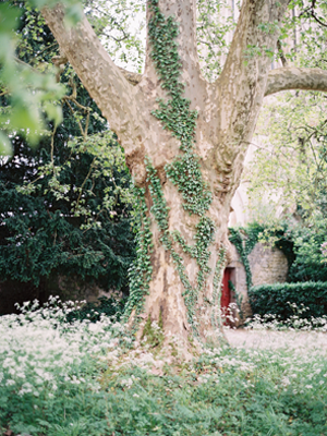 magical-french-forest-wedding