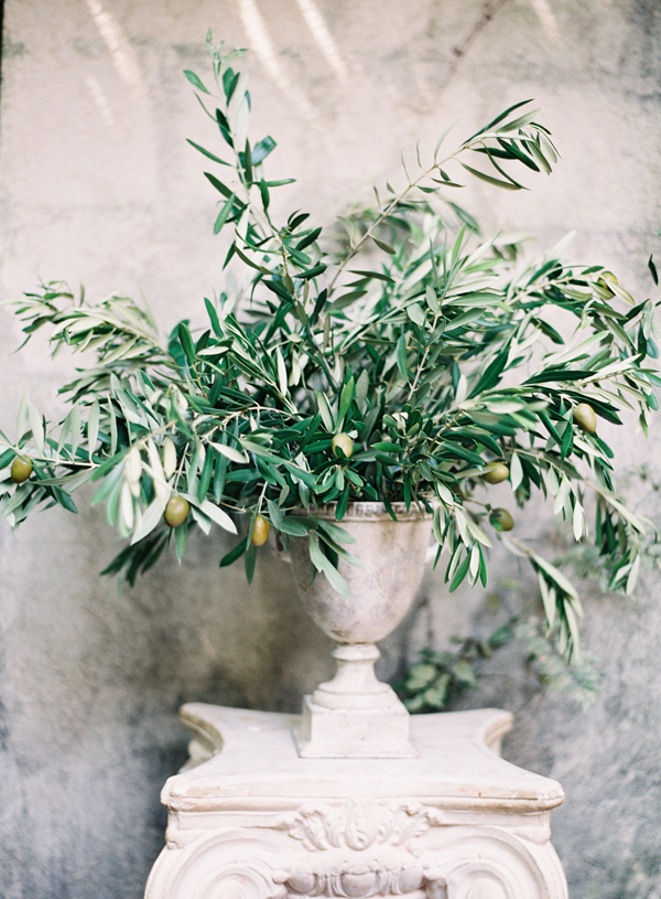 olive-branch-rustic-wedding-ideas