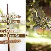 outdoor wedding sign