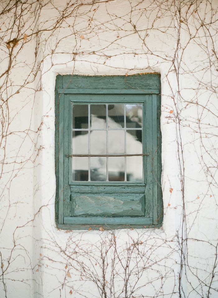 10-green-window-grapevine-diane-mcgregor-photography