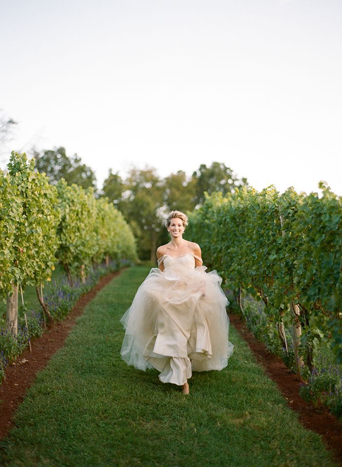 8-elegant-vineyard-bridal-portrait
