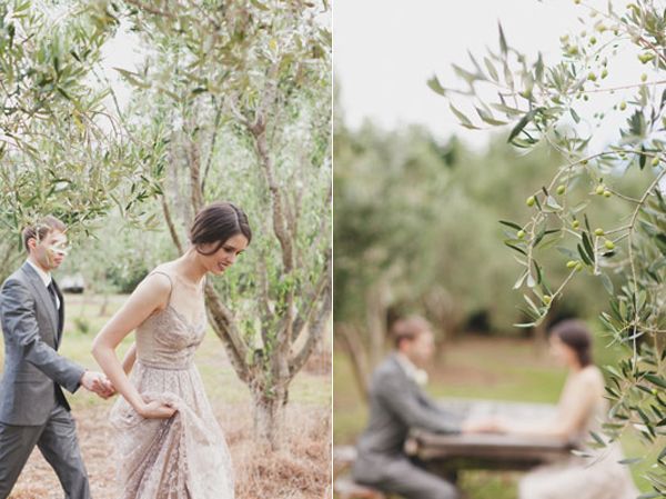 bride-groom-olive-grove