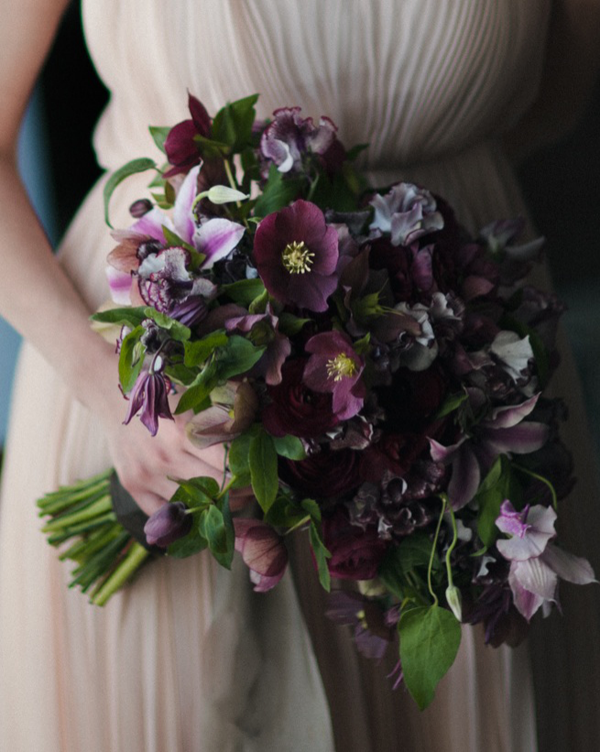 hellebore-purple-bouquet-clematis1