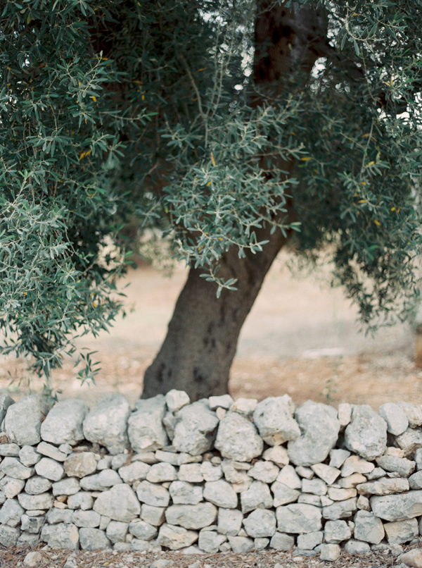 italy-olive-branch-wedding