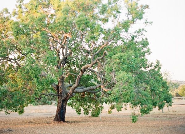 Jemma Keech Austalia Outdoors Tree