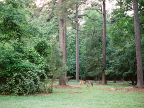 Natural Boudoir Session | Wedding Ideas | OnceWed.com
