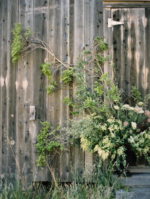 sarah-winward-foraged-greenery-arrangement