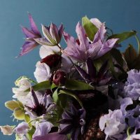 Velvet Wedding Flower Ideas Centerpieces